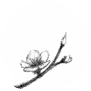 Akupunktur Florine Zingre