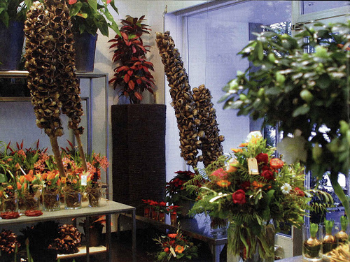 Blumen Maarsen