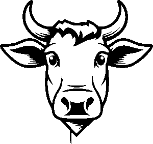 Ender diagnostics