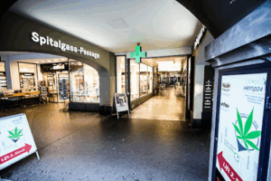 Hemp24 CBD Shop