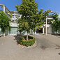 Mentalmove GmbH